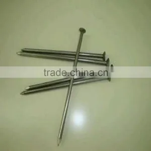 From FACTORY High Quality Common Nails thumbnail-6