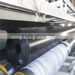 High Strength Fish Farm Pond Liner Hdpe Geomembrane thumbnail-1