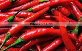 Red Hot Chili Peppers thumbnail-1