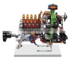 Anatomical Centrifugal Control Injection Pump Educational Equipment thumbnail-1