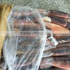 Frozen Squid Whole Argentina Illex thumbnail-5