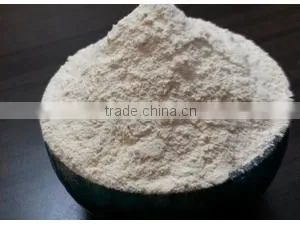 Dehydrated Onion Powder thumbnail-3