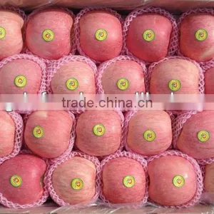 Good Quality Sweet Fresh Fuji Apple thumbnail-1