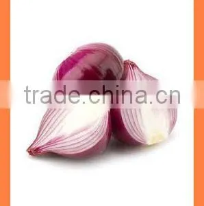 Fresh Red Onion FOR SALE thumbnail-4
