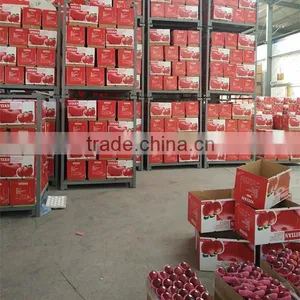 Chinese Fresh Apple Fresh Apple Fruit for Sale thumbnail-5