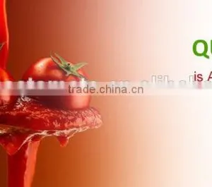 70 g Sachet Tomato Paste in Box and Carton Packaging From China Supplier thumbnail-5
