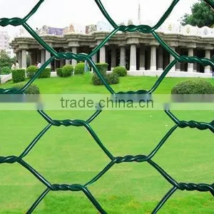 30m Length of Bird Netting thumbnail-1