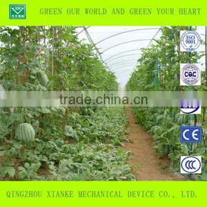 Tropical Greenhouses and Commercial Hydroponic Grwoing Systems for Tomato, Lettuce and Strawberry thumbnail-1