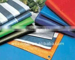 Woven Fabric With PE Laminated on Single Side thumbnail-1