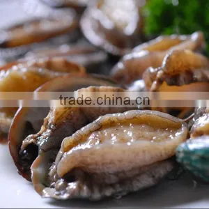 Fresh Frozen Abalone Whole (with Shell) thumbnail-4