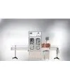 Automatic Liquid Quantitative Filling Line (two-headed) thumbnail-1