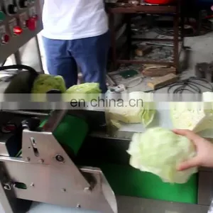 Automatic Vegetable Cutting Machine Leaf Vegetable Spinach Cutting Machine thumbnail-1