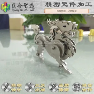 动物模型