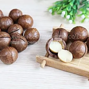 Macadamia Nut Drying Machine thumbnail-5