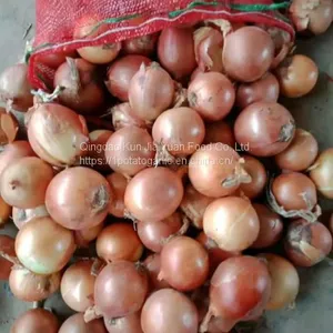 Fresh Onion thumbnail-1