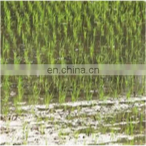 High Quality Rice Hole Direct Seeding Machine thumbnail-4