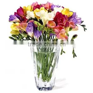 CUT FLOWER thumbnail-1