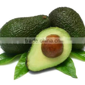 Wholesale Cold Pressed Crude Avocado Oil With Aromatherapy Cosmetic Grade Base Oil thumbnail-4
