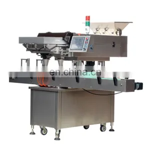 Capsule Tablet Counting and Filling Machine Automatic Tablet Counter Capsule Tablet Counting Machine thumbnail-4