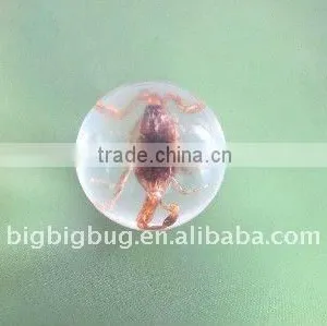 R25S01 Customizable Marble for Toy thumbnail-1