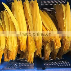 Wholesale Goose Nagoire White Goose Feathers thumbnail-2
