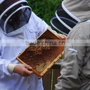Low Price Antistatic Garment /Beekeepering Suit Coverall/protective Suit thumbnail-1