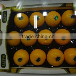 Mango Tray Insert thumbnail-1