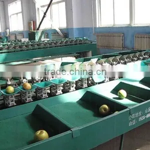 Fruit Grader Commercial thumbnail-1
