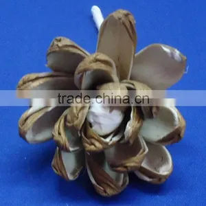 Sola Flower thumbnail-1