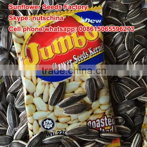 Sunflower Seeds thumbnail-5