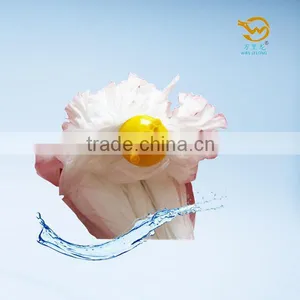 E400W Non-woven Disposable Microfiber Wet Mop thumbnail-6