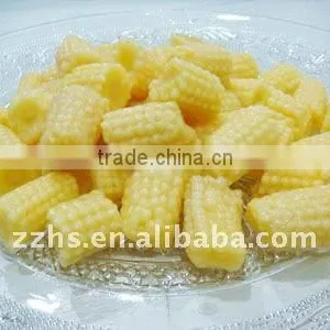 Canned Baby Corn Cut thumbnail-1