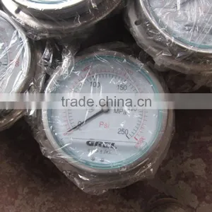 Durable and Long Lasting 250MPa Pressure Gauge With Preferential Price thumbnail-1