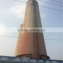 Shijiazhuang Shuangqi Imp & Exp Trading Co., Ltd. company overview - view 3 thumbnail