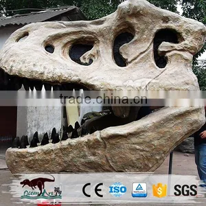OA-DS-20160505S9 Life Size Dinosaur Head Fossil thumbnail-2