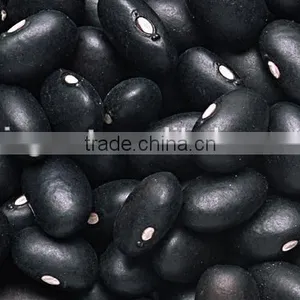 Black Beans New Crop thumbnail-3
