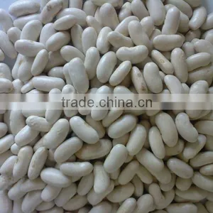 We Are Supply Kidney Beans, Medium White Kidney Beans With Competitive Price Quality Choice thumbnail-2