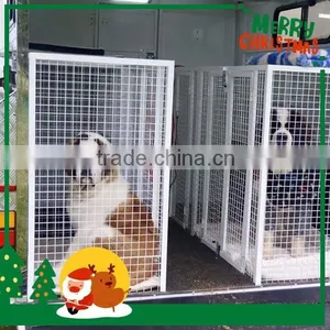 High Quality Horse Float for Sale Used for Sainy Bernards Dog thumbnail-1