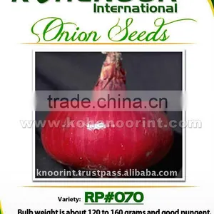 Red Onion Seeds | RR#070 thumbnail-1