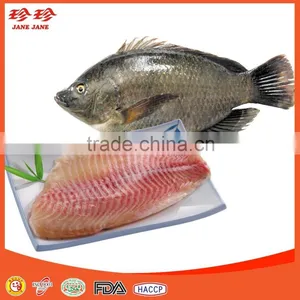 Frozen Barramundi Fillet thumbnail-1