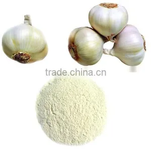 In China Fresh Garlic Powder thumbnail-1
