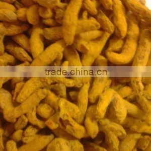 Fresh Turmeric / Dried Turmeric / Turmeric Finger thumbnail-3