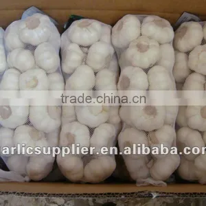 Snow White Garlic New Crop thumbnail-1
