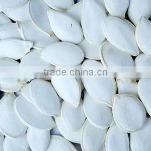 Pumpkin Seeds thumbnail-1