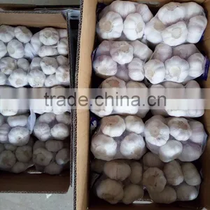 YUYUAN Brand Hot Sail Fresh Garlic Commercial Garlic Peeler thumbnail-3