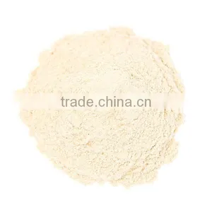 Shiitake Mushroom Powder for Nutrition and Organic Diet thumbnail-1