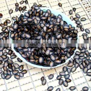 Watermelon Seed ( Raw/spiced ) thumbnail-1