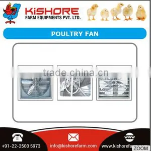 High Quality Chicken Poultry Equipment thumbnail-2