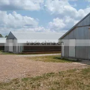 Design Modern Automatic Poultry China Equipment Chicken Farm thumbnail-1
