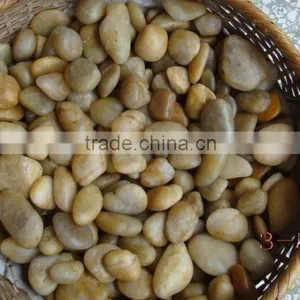 Natural Yellow Pebble Stone thumbnail-2